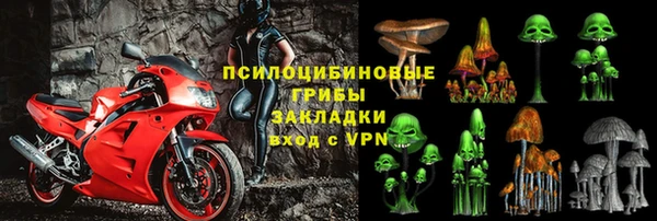 спайс Белокуриха