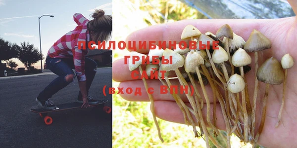 спайс Белокуриха