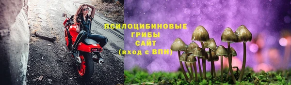 СК Беломорск