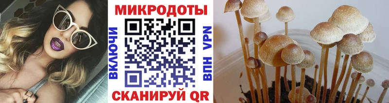 Галлюциногенные грибы мицелий  купить закладку  Жердевка 